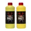 B.A.C.  HYDRO BLOOM A+B 2X1 LT (FIORITURA) BAC